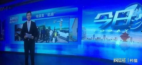 青岛卫视最新爆料,揭秘青岛重大事件背后真相