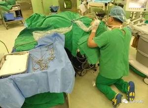 国产色医生看妇料,守护女性健康的新选择