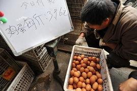 今日头条卖猪肉利润,今日头条带你探秘卖猪肉的盈利之道
