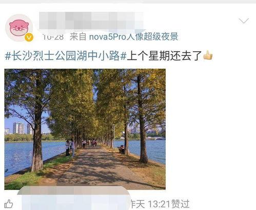 长沙网红直播公园在哪里,揭秘热门直播地打卡攻略