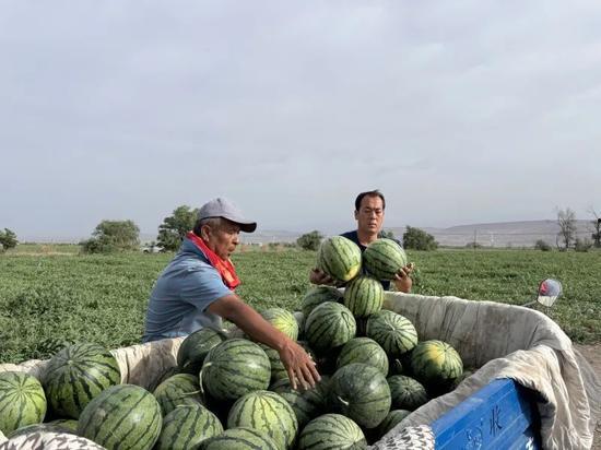 砀山吃瓜季节,甜蜜盛夏，瓜香四溢的砀山之旅