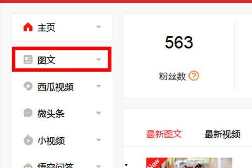 头条发的文章怎么排版的,如何打造引人注目的标题与内容布局