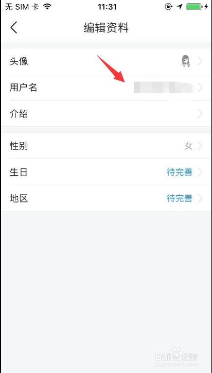 日字开头的头条名称,探索科技前沿的无限可能