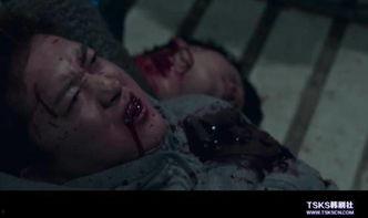 韩国蚯蚓在线观看免费,免费在线观看，探索生态奥秘之旅