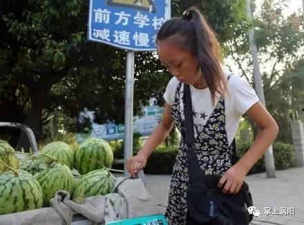 涡阳小网红,崛起的乡村网络新势力