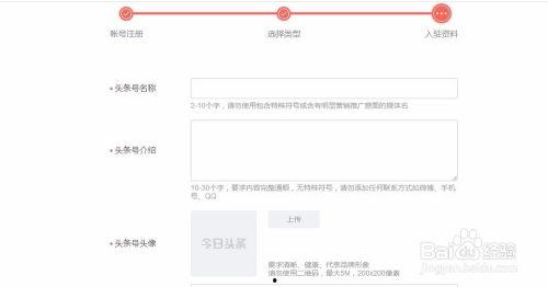 今日头条发表稿件字数,揭秘字数背后的故事与影响力
