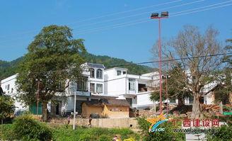 广西靖西化峒镇头条,探寻广西乡村新画卷