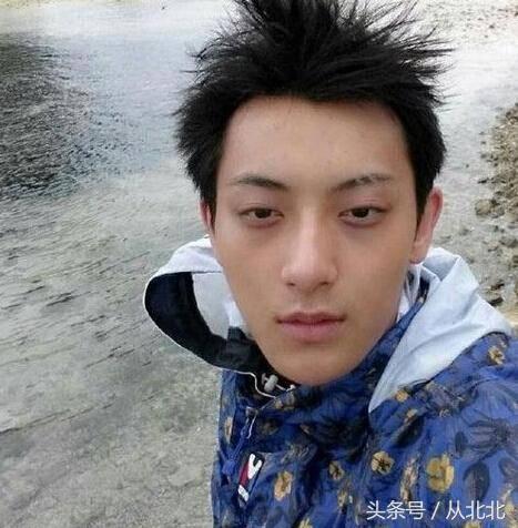 明星学历怎么查的,如何轻松查询明星教育背景