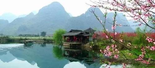 微头条现代诗句,微头条诗句描绘生活画卷