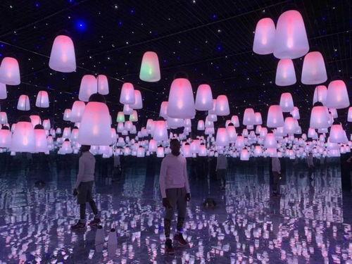 南宁求婚网红排行榜,浪漫瞬间，谁领风骚？