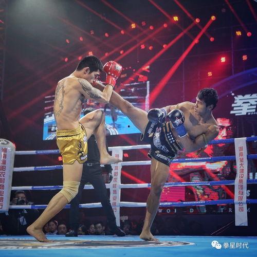 笑面虎明星,揭秘娱乐圈背后的真实故事