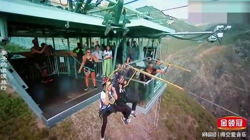 明星体验过山车蹦极,体验过山车与蹦极的惊险之旅