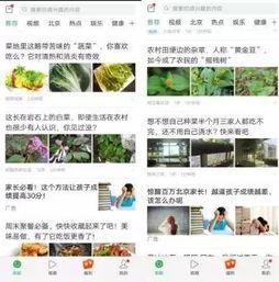 识别头条内容的网站,网站如何精准捕捉热点内容