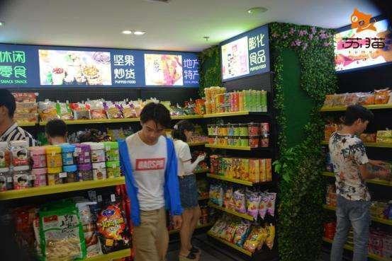 网红苏州猫咪是谁,萌动江南的治愈系萌宠传奇