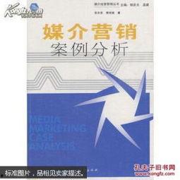 明星媒介形象案例分析,塑造与颠覆的视觉叙事