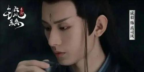 成毅网红,从网红到明星的蜕变之路