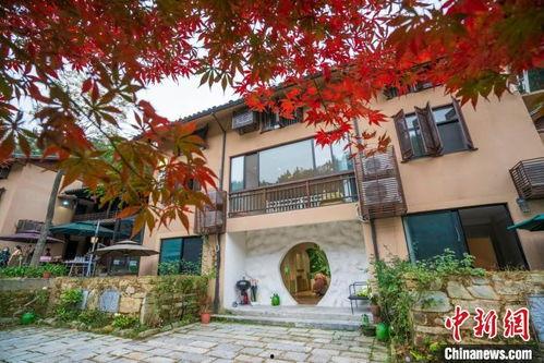 溪口天竺村网红饭店,品味乡愁，邂逅美食新地标