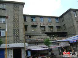 红网津市,红网聚焦城市发展新篇章