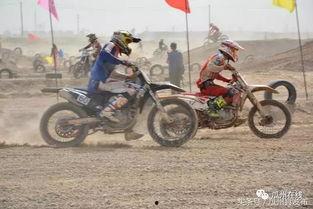 机车届吃瓜,揭秘机车届的“吃瓜”盛况