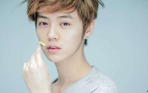 明星的粉丝团口号,揭秘明星粉丝团口号背后的故事