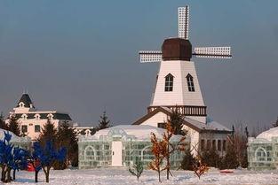 呼兰河口最新头条号,头条号揭秘区域发展新篇章