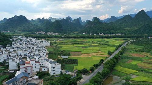 襄州张家镇新闻头条