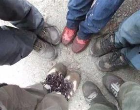 衢州头条杀鸡,杀鸡事件引发关注，真相究竟如何？