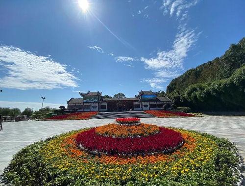 今日头条岳阳君山岛,岳阳风光中的绿洲明珠，探寻自然与人文的交融之地