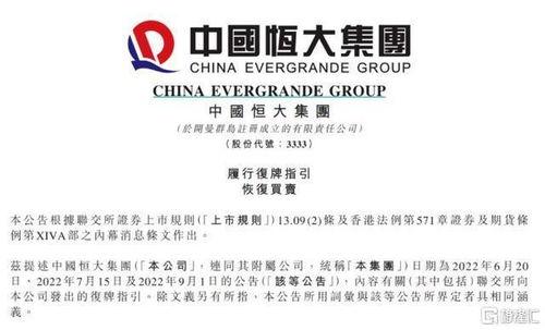 恒大最新爆料消息,揭秘债务危机背后的真相与应对策略