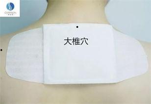 网红脊椎贴,缓解腰酸背痛的神奇小物