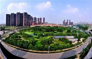 庐阳区的明星都有谁,盘点知名明星风采