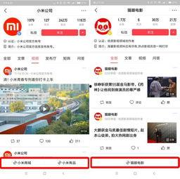 免费今日头条电影资源,热门大片免费看，观影无压力