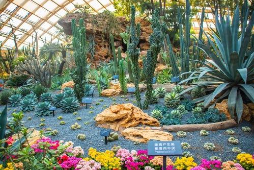 太原植物园 网红电梯