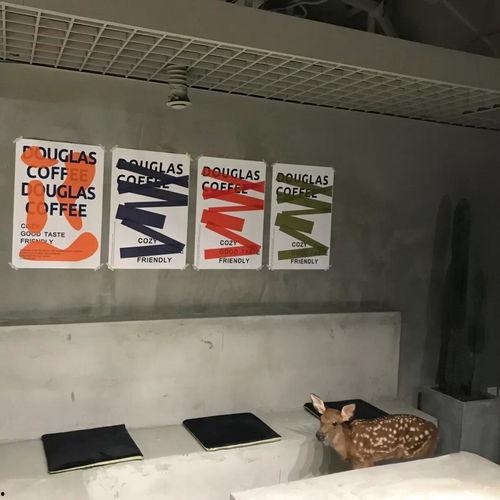 网红店铺打卡风格分析